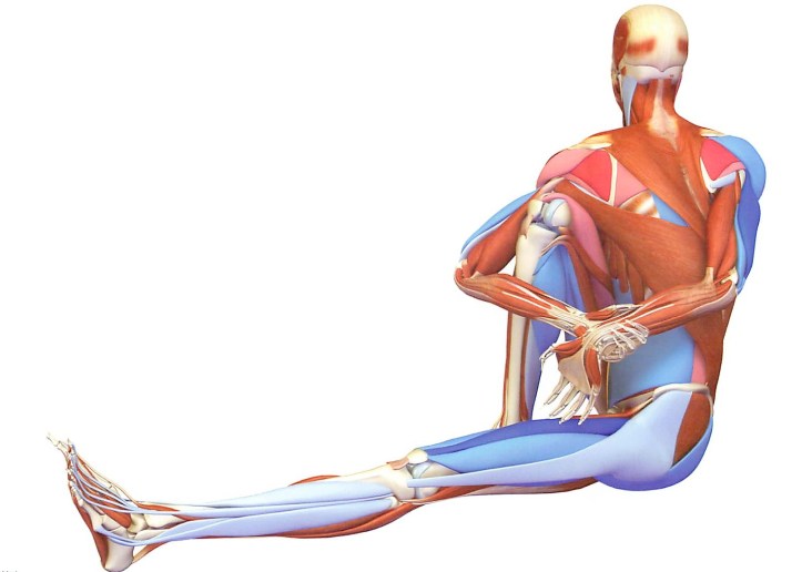 как выполнить маричиасану с