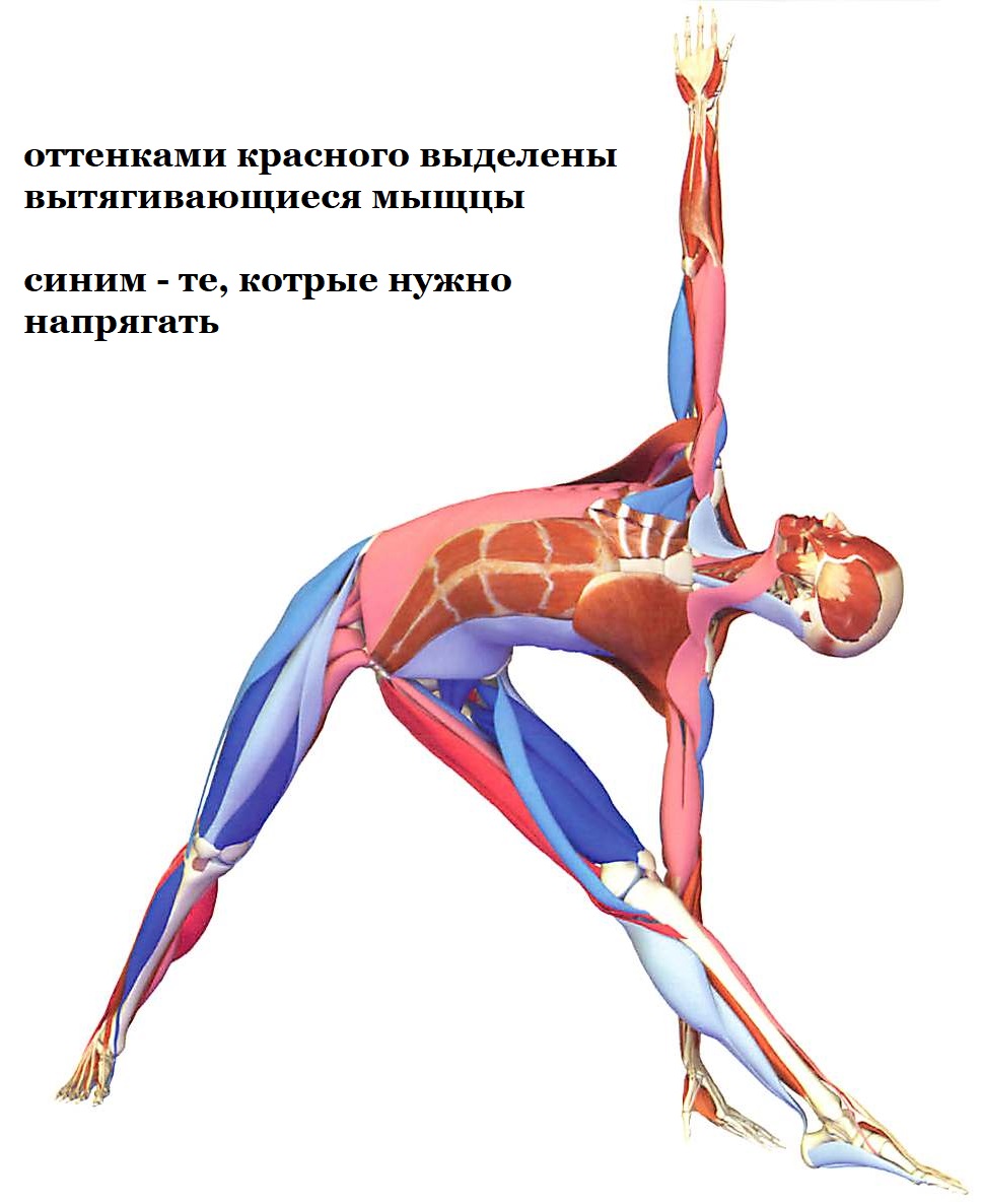 тонкости триконасаны