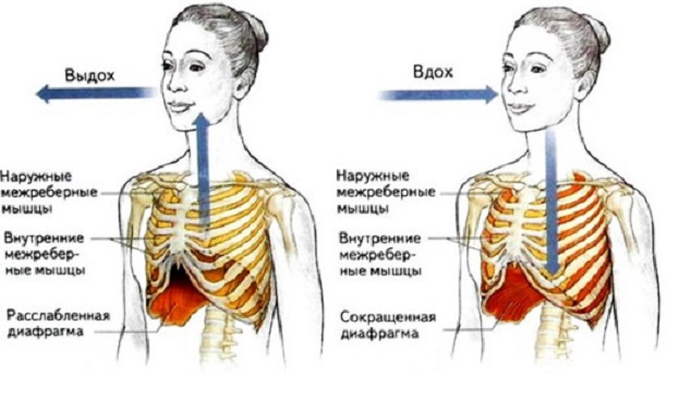 как правильно дышать в йоге