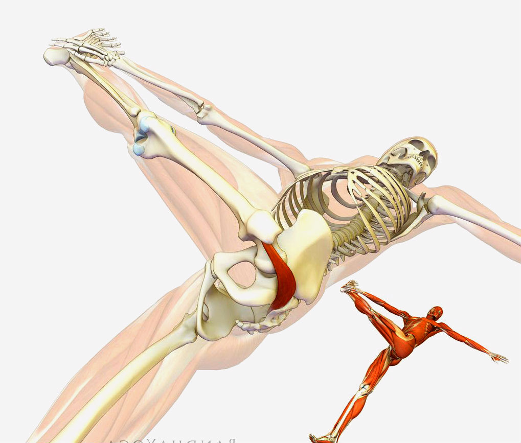 синдром грушевидной мышцы