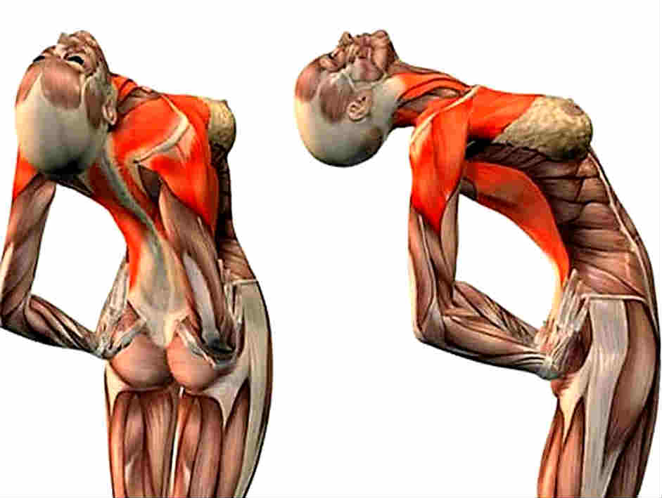 точка опоры в асане