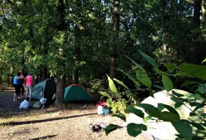 выезд на природу в лес