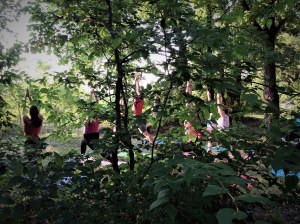 практика йоги в лесу