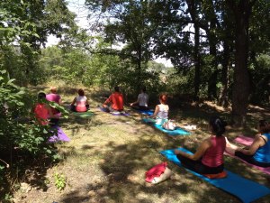 йога на природе 2019