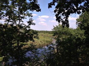 изгиб реки Молочной