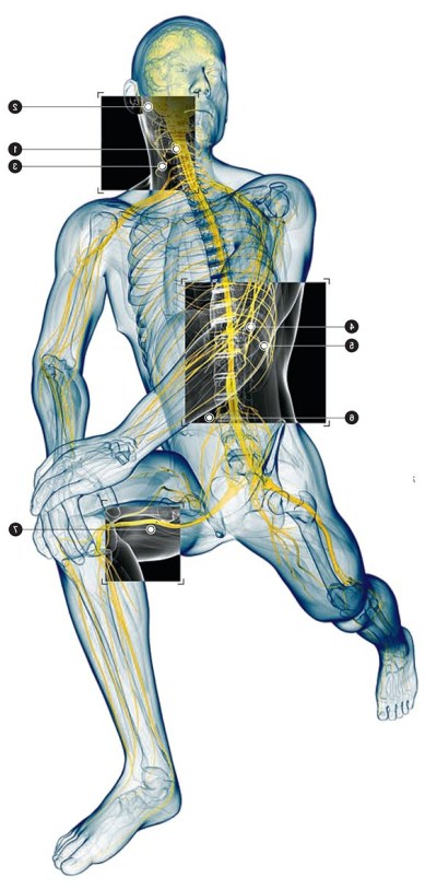 психосоматика основы