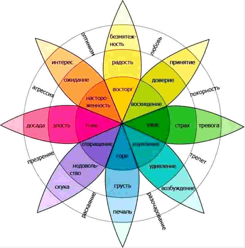 чувства и эмоции в схеме