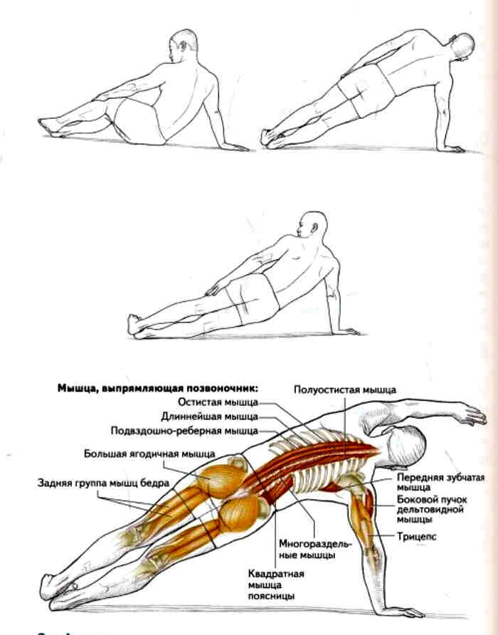 как сделать боковую планку с нуля
