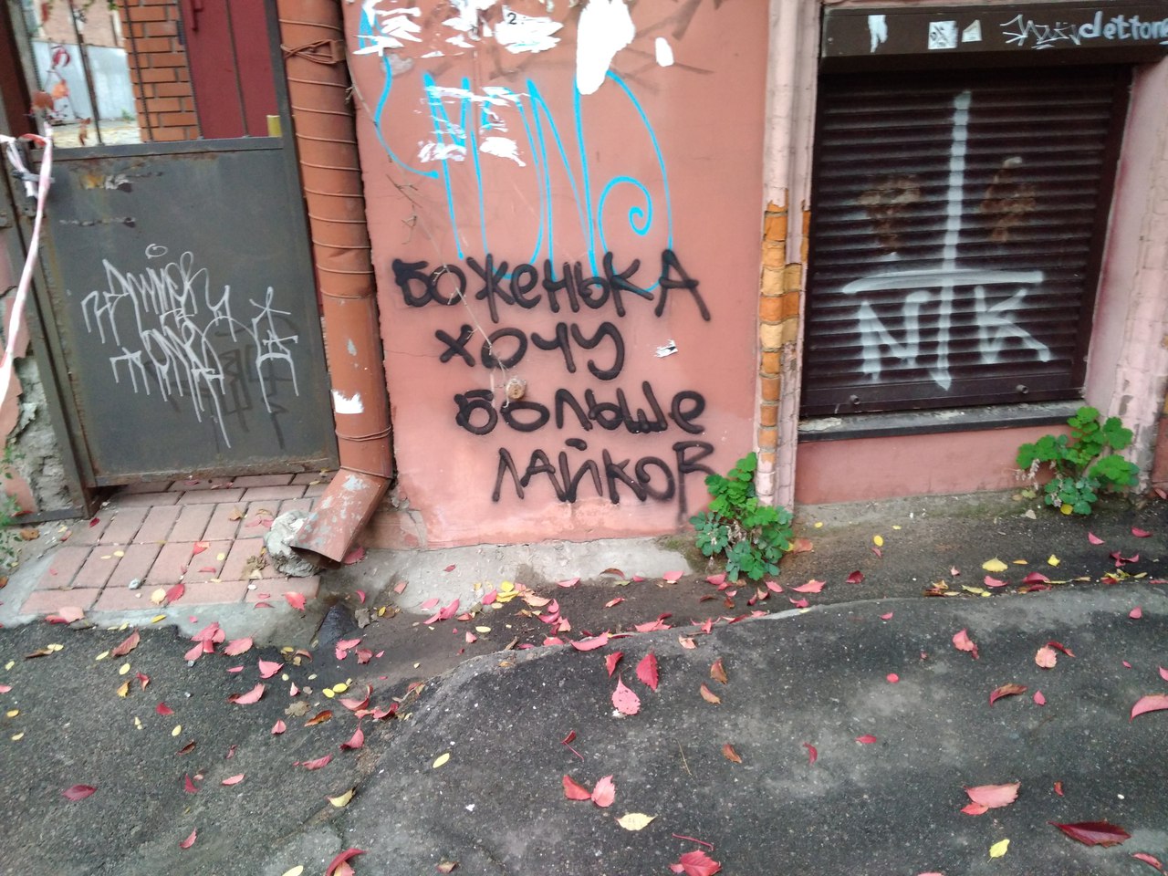 хочешь больше лайков
