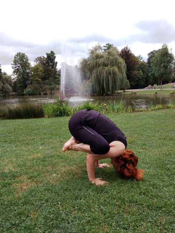 из Бакасаны в Сиршасану