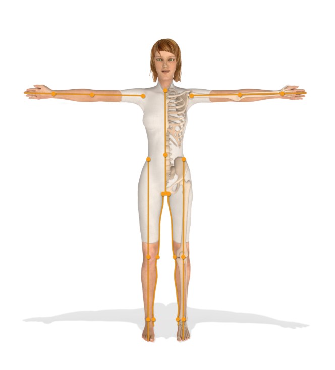 ось тела это