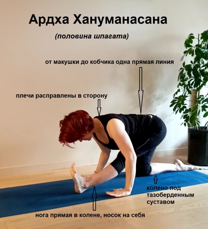 Ардха Хануманасана в деталях