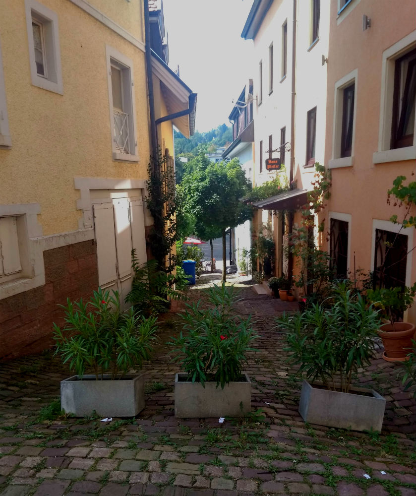 Баден город миллионеров