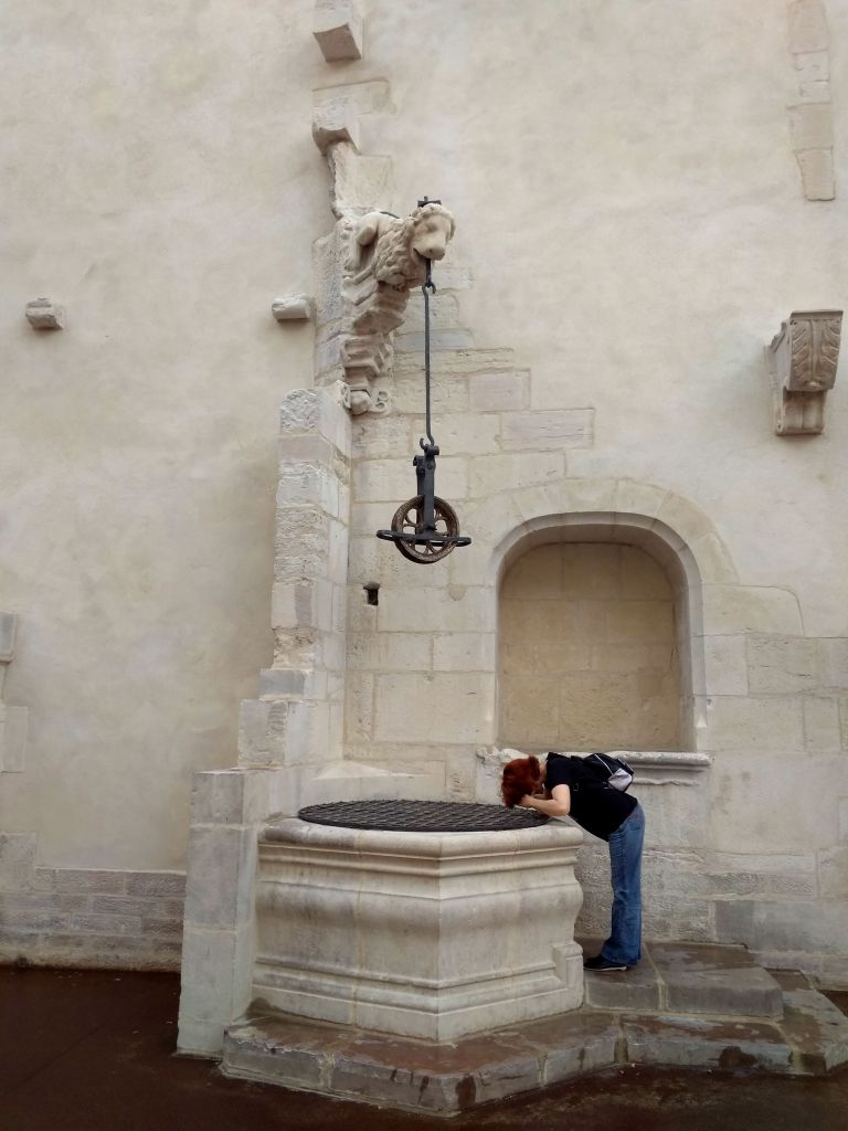 на территории музея Бо-Арт Дижон